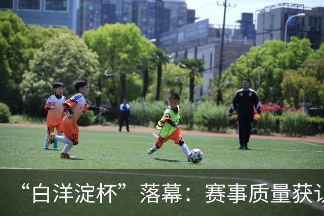 “白洋淀杯”落幕：赛事质量获认可，拉动经济150余万元