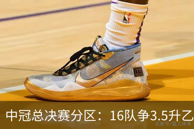 中冠总决赛分区：16队争3.5升乙名额 南区广东晨星、江苏常晋等队