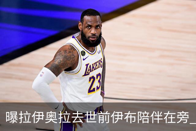 曝拉伊奥拉去世前伊布陪伴在旁 两人合作多年