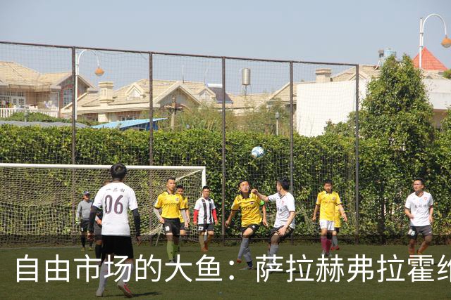 自由市场的大鱼：萨拉赫弗拉霍维奇在列 桑乔或再回多特