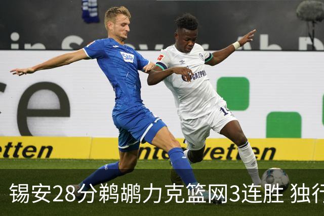 锡安28分鹈鹕力克篮网3连胜 独行侠险胜马刺