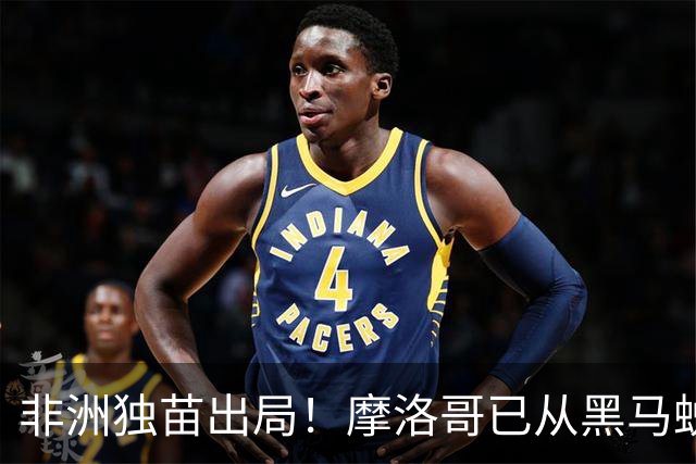 非洲独苗出局！摩洛哥已从黑马蜕变为劲旅 四年后主场见