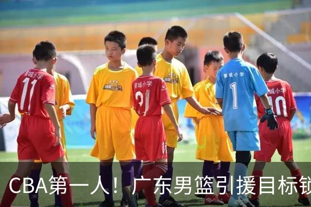 CBA第一人！广东男篮引援目标锁定，杜锋心仪许久，但得花不少钱